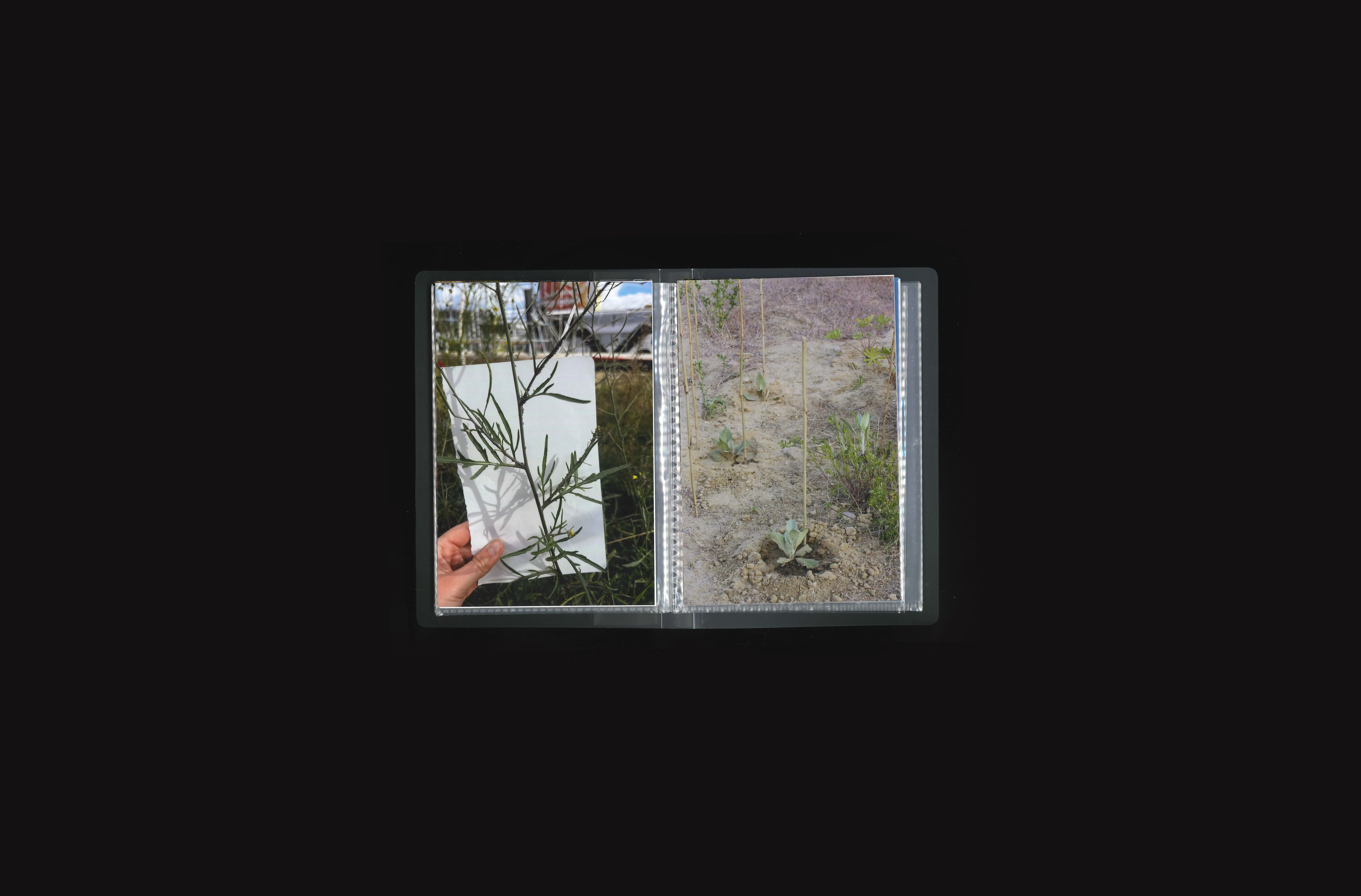 Project image